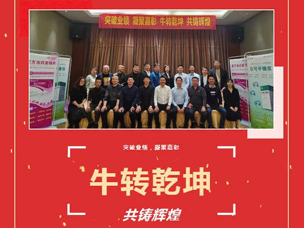 突破業(yè)績、凝聚嘉彰、牛轉(zhuǎn)乾坤、共鑄輝煌